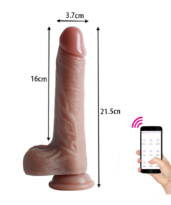 Alternative view of Smart App Real 21.5
